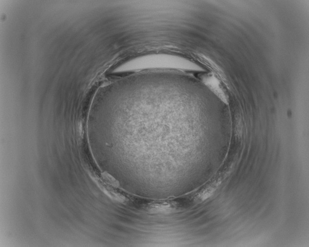 X0000078230405200611171439