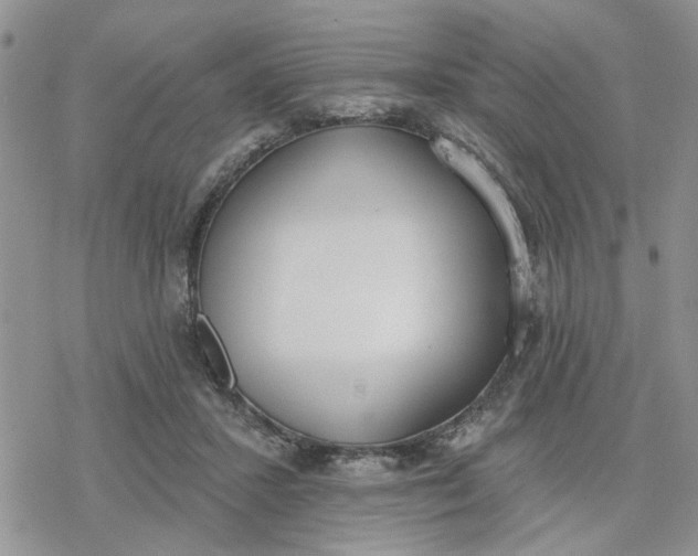 X0000078230407200611171439