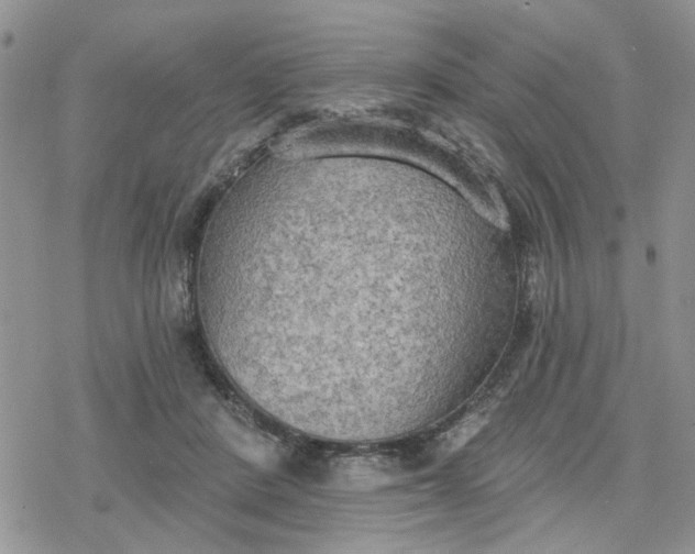 X0000078230408200611171439