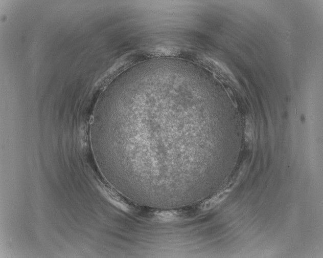 X0000078230409200611171438