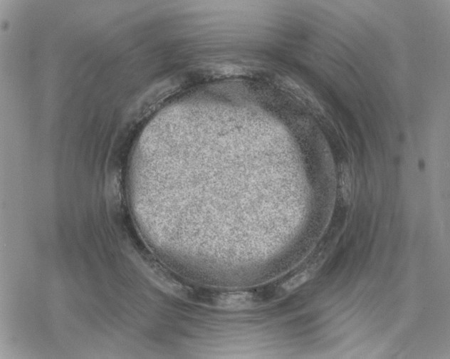 X0000078230410200611171438