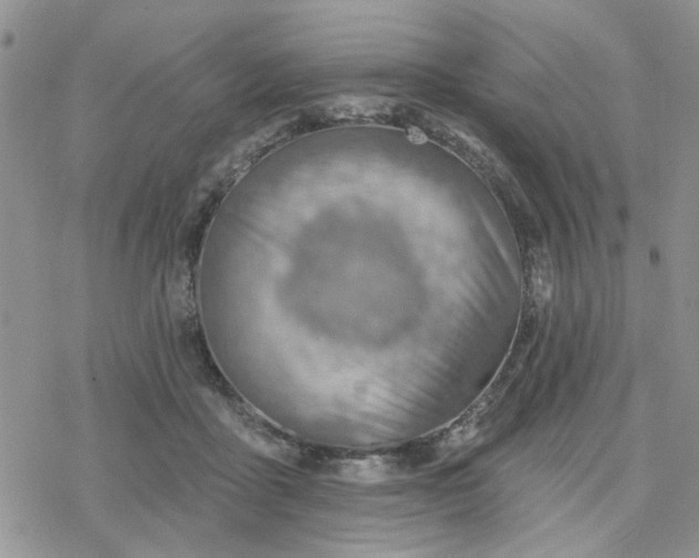 X0000078230411200611171438