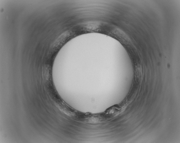 X0000078230412200611171438