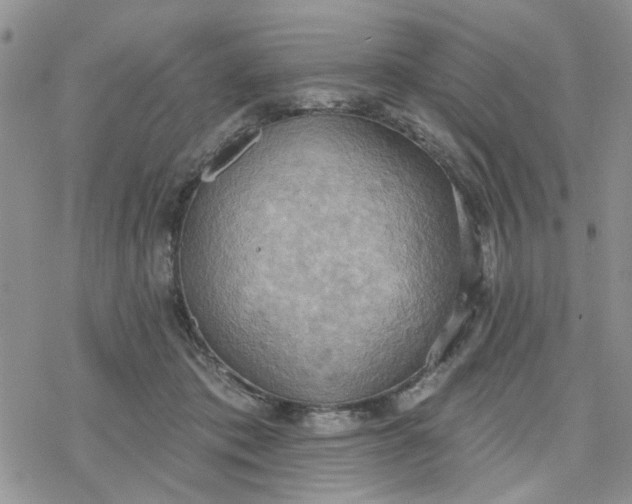 X0000078230413200611171438