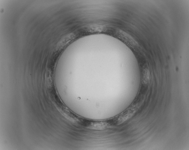 X0000078230414200611171438