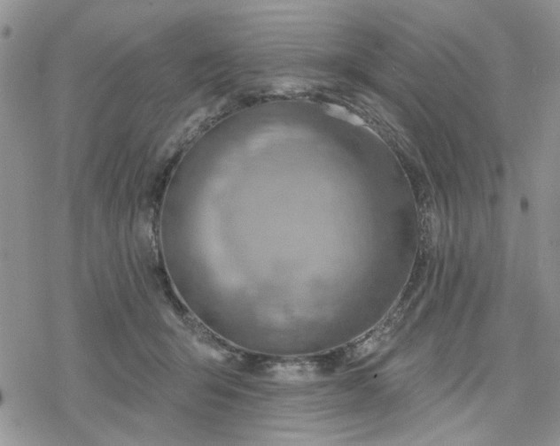 X0000078230415200611171438