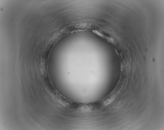 X0000078230416200611171438