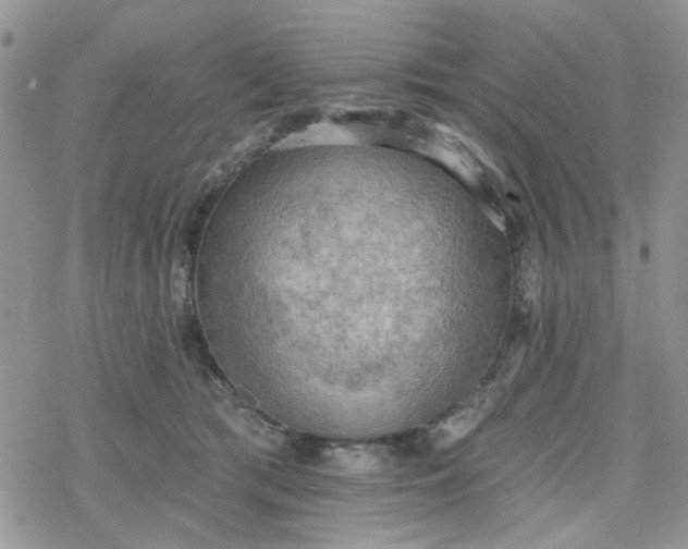 X0000078230417200611171438