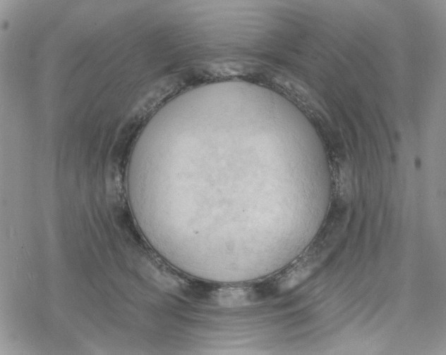 X0000078230418200611171438