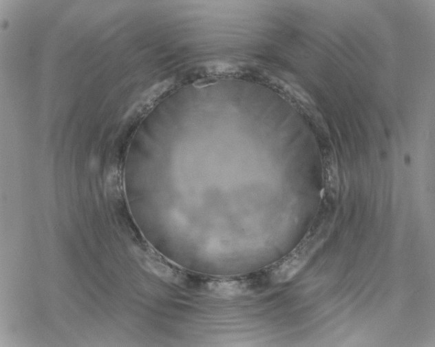 X0000078230419200611171438