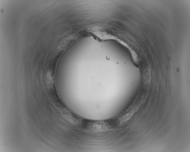 X0000078230420200611171438