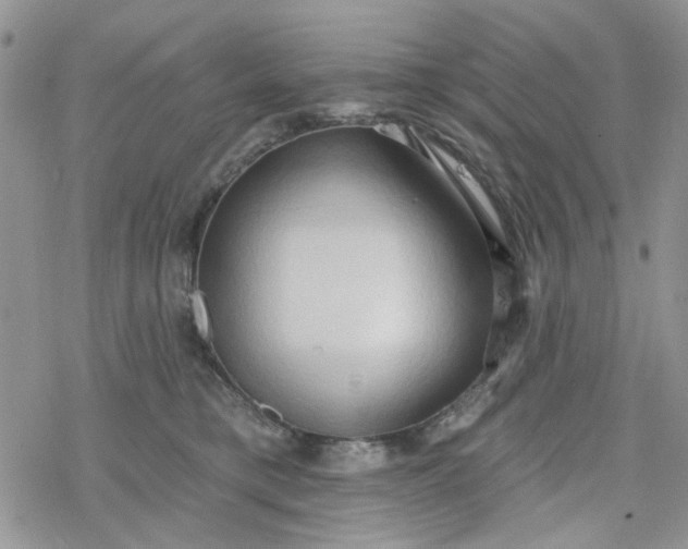 X0000078230421200611171438