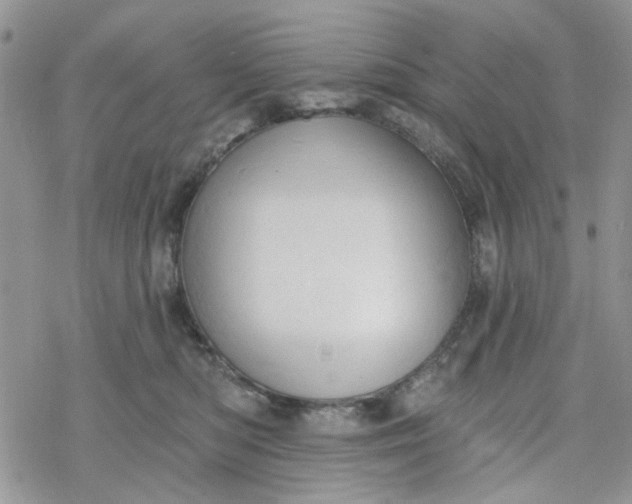 X0000078230422200611171438