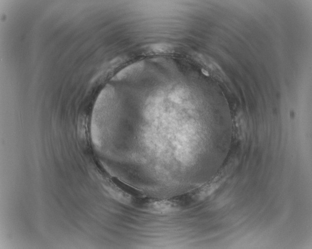 X0000078230423200611171438