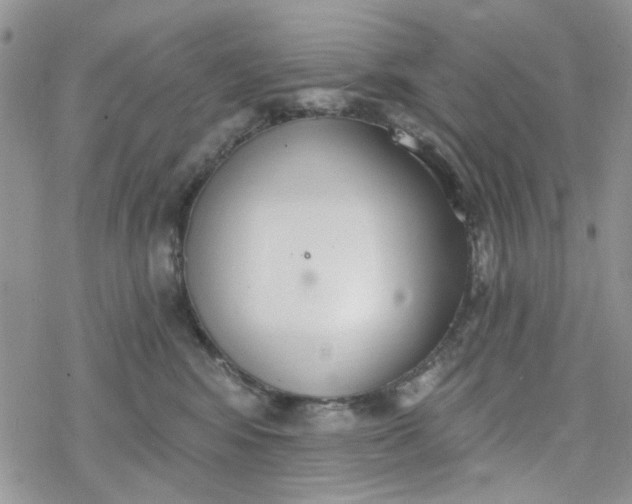 X0000078230424200611171438