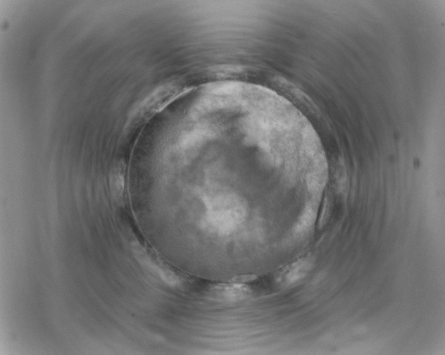 X0000078230427200611171438