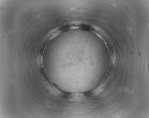 X0000078230429200611171438