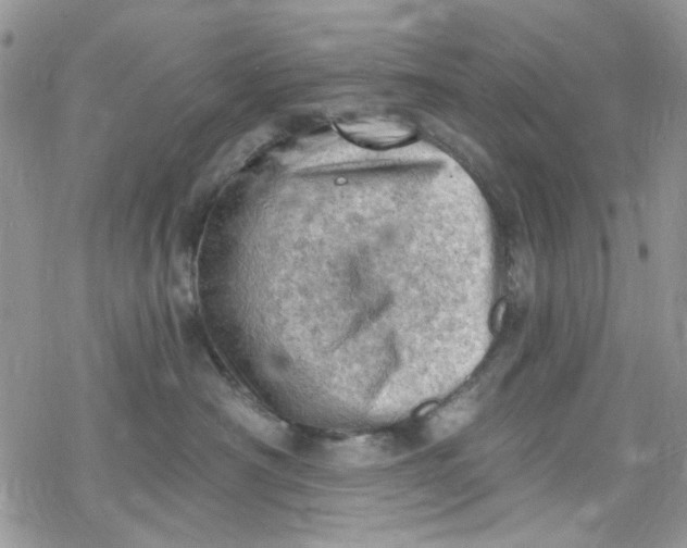 X0000078230430200611171438