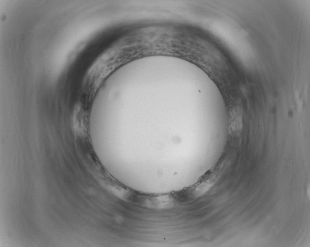 X0000078230431200611171438