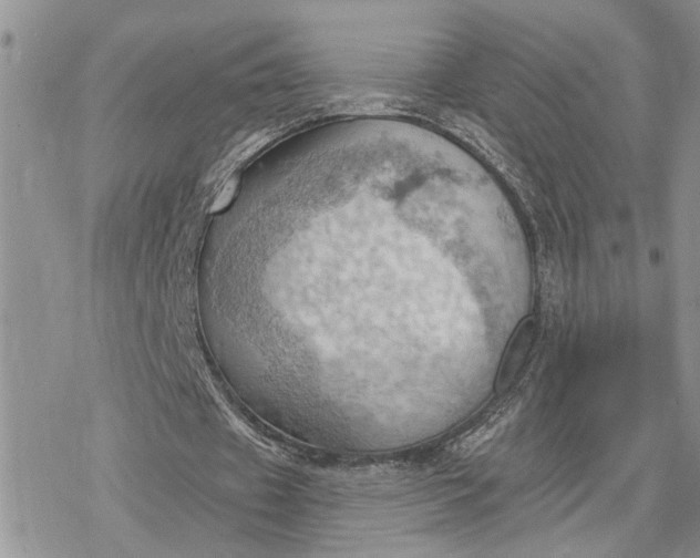 X0000078230433200611171437