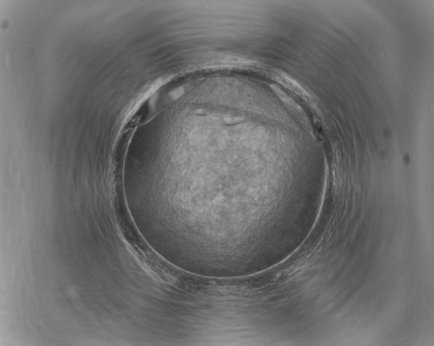 X0000078230436200611171437