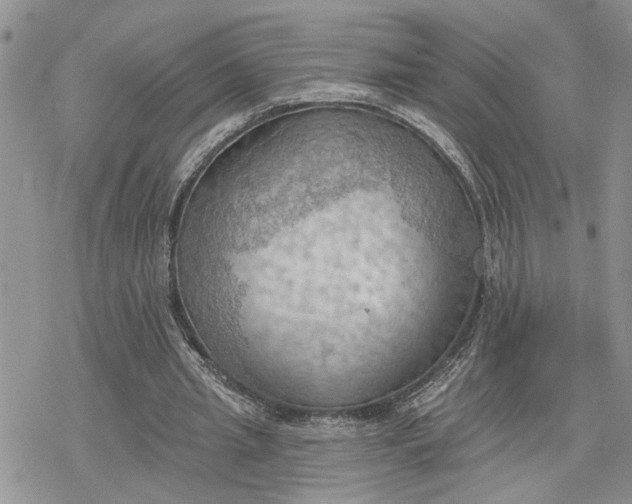 X0000078230437200611171437