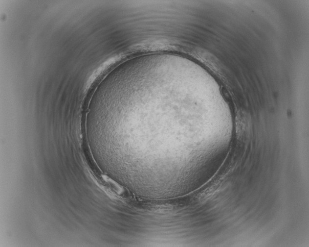 X0000078230438200611171437