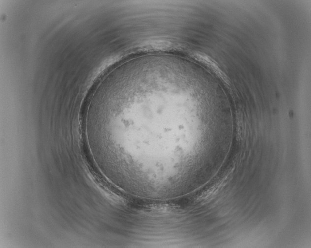 X0000078230439200611171437