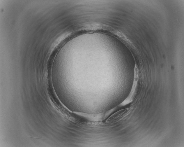 X0000078230440200611171437