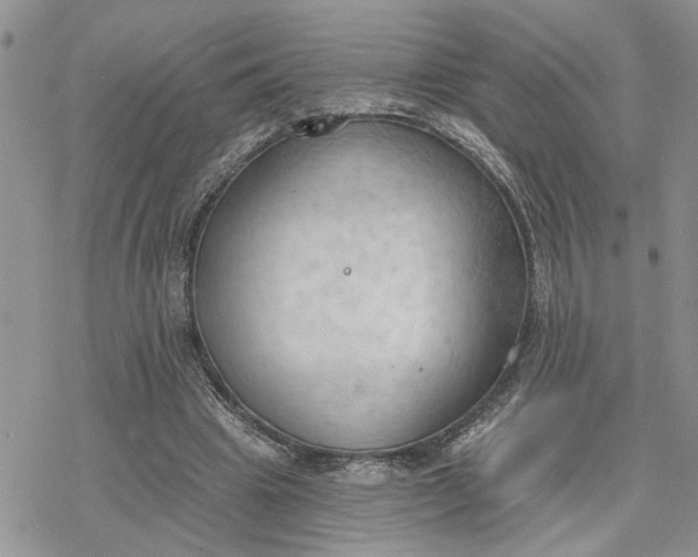 X0000078230441200611171437