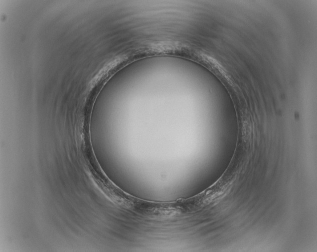 X0000078230443200611171437