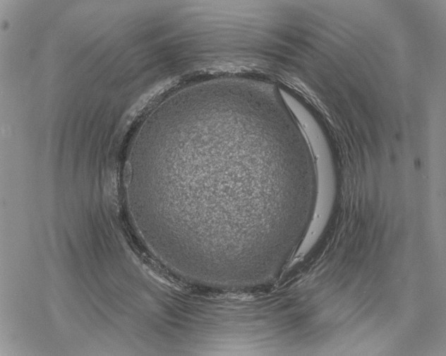 X0000078230444200611171438