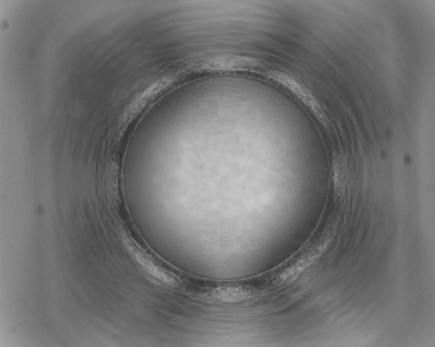 X0000078230445200611171438