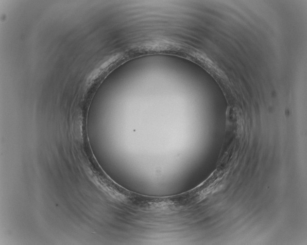 X0000078230446200611171438