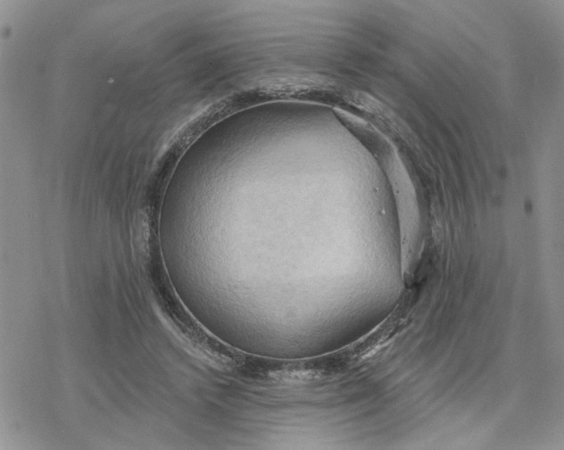 X0000078230448200611171438