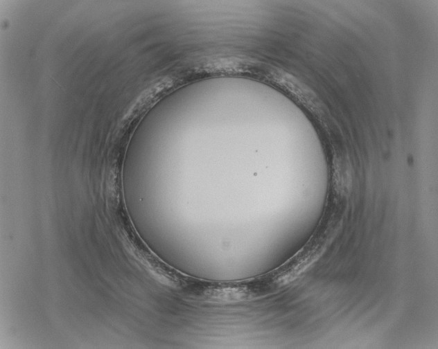 X0000078230449200611171438