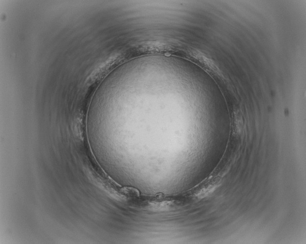 X0000078230450200611171438