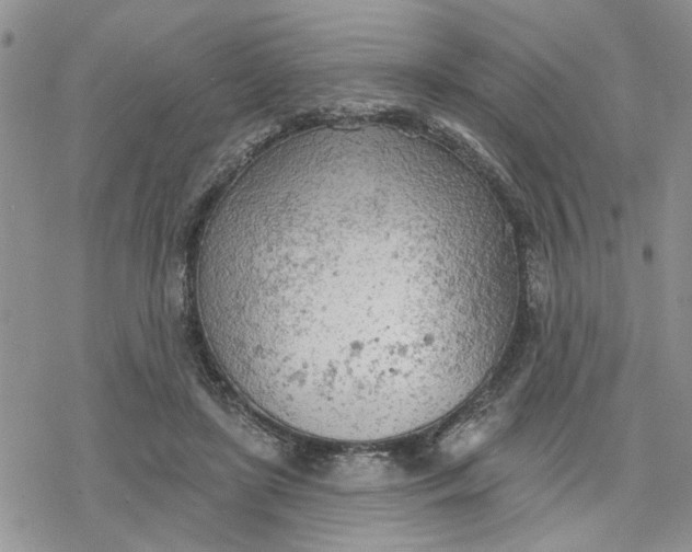 X0000078230451200611171438