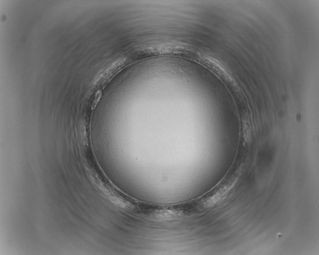 X0000078230453200611171438