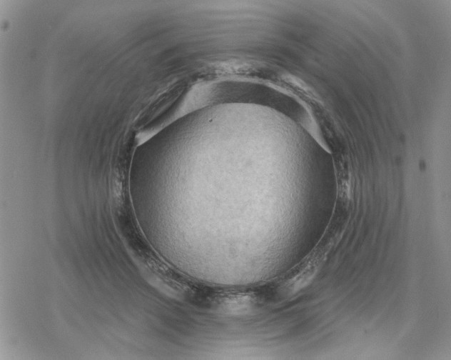 X0000078230456200611171438