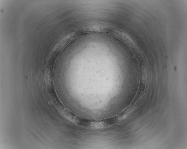 X0000078230457200611171438