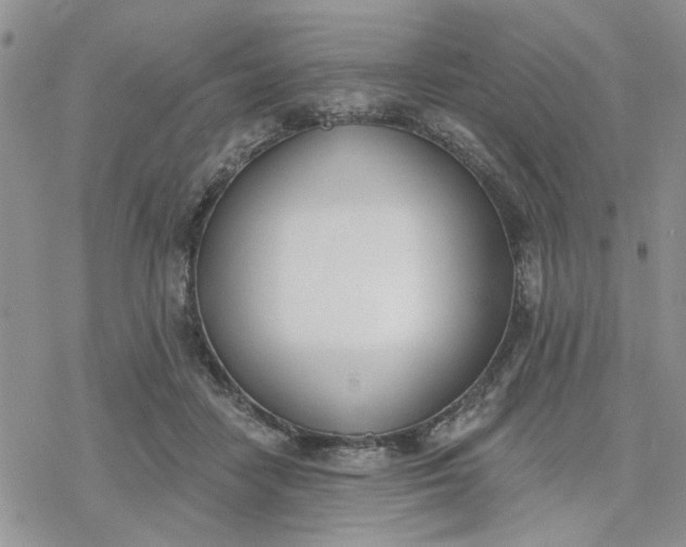 X0000078230458200611171438