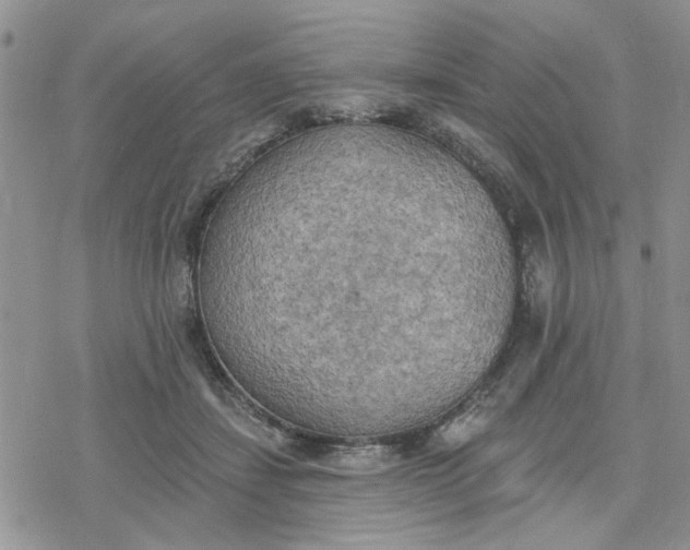 X0000078230459200611171438