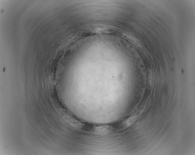 X0000078230461200611171438