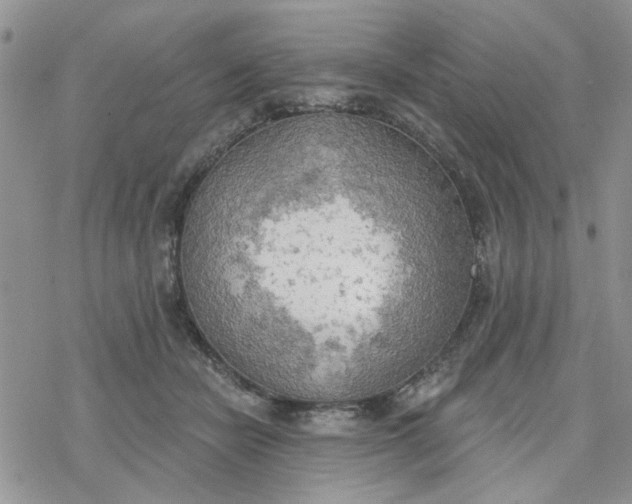 X0000078230462200611171438