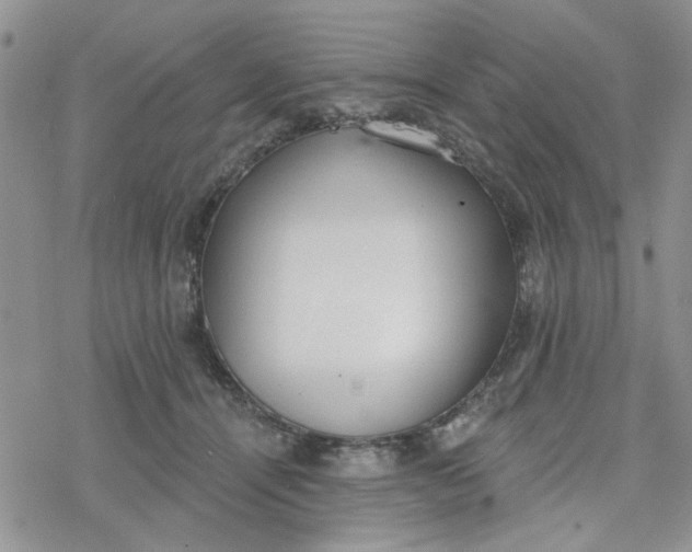 X0000078230464200611171438