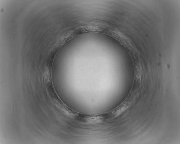 X0000078230465200611171438