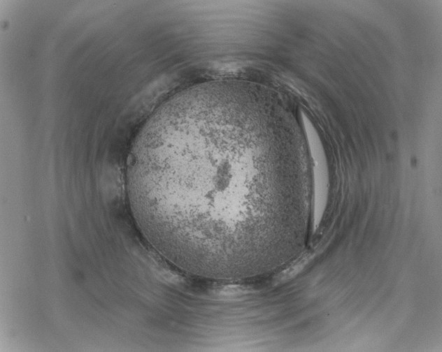 X0000078230467200611171438