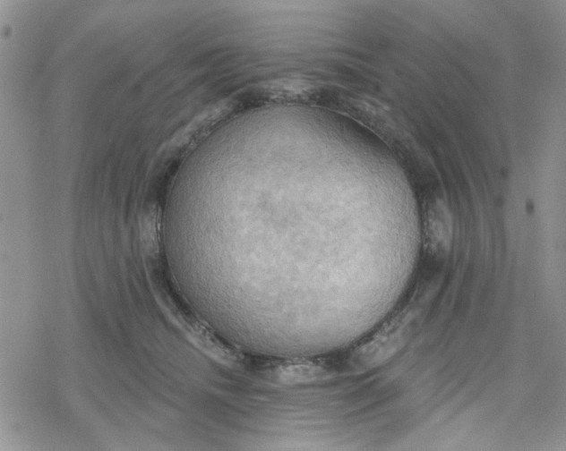 X0000078230468200611171438