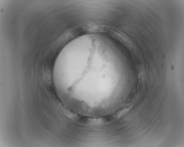 X0000078230469200611171438